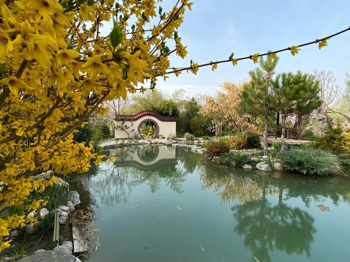 Uzumfermer Hotel & Winery Taškent Exteriér fotografie