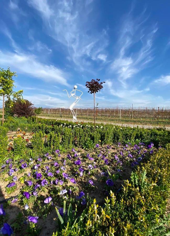 Uzumfermer Hotel & Winery Taškent Exteriér fotografie